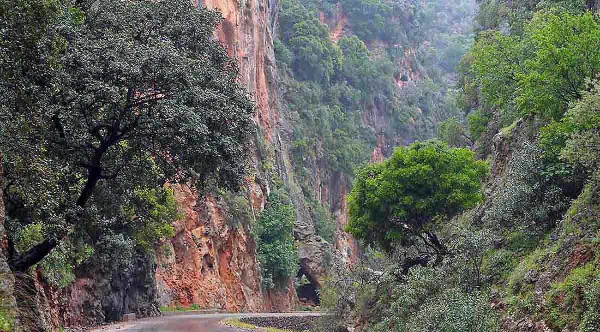 Theriso gorge.jpg