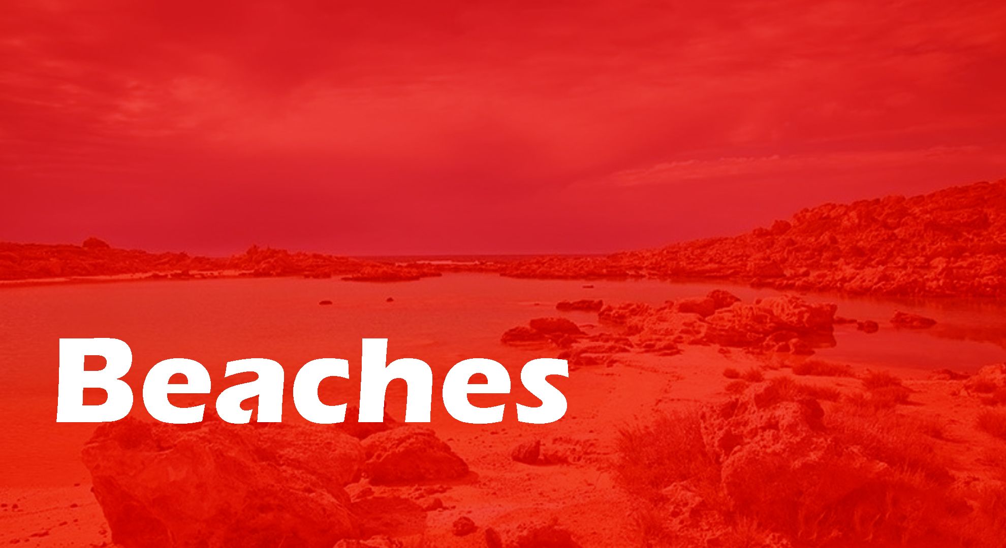 beaches header image.jpg