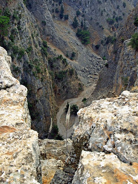 aradena gorge.jpg
